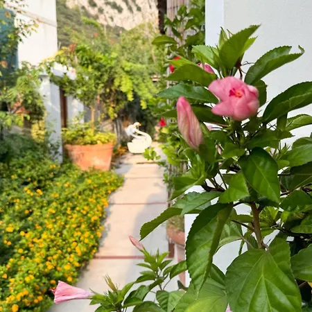 Il Cigno B&B-3